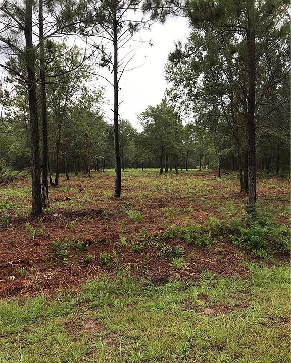 2nd image of 95586 Douglas Rd