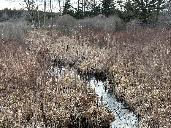 4th image of Lot #10 Ridge Road