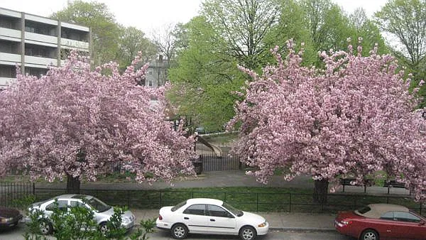 1 bed, 574 sqft, $2,450 — Photo 2