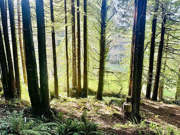 2nd image of 0 Spears Rd