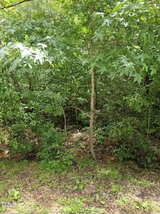 3521 Esther Dr Lot 158145, Durham, NC, 27703