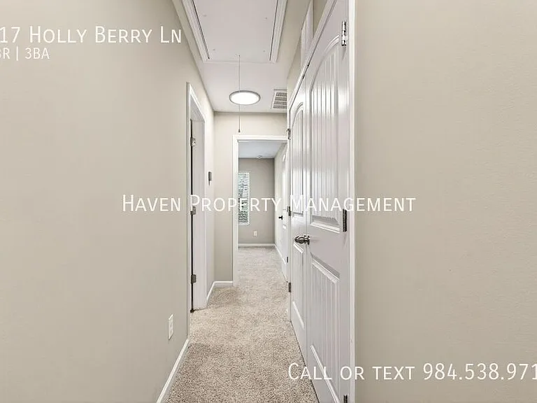 117 Holly Berry Ln — Photo 17