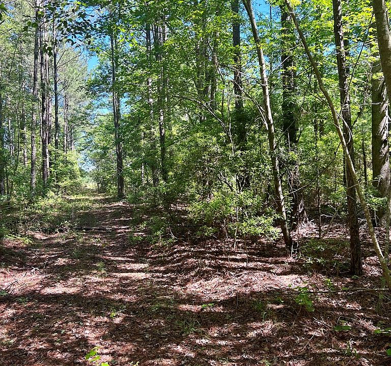 0 Cotton Patch Rd, Hazlehurst, GA 31539 MLS 20631 Zillow