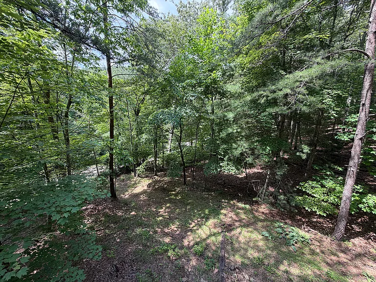 1253 Tipton Springs Rd — Photo 13
