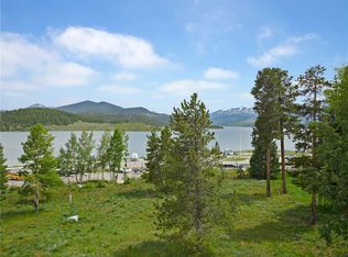 160 E La Bonte St #302, Dillon, CO 80435
