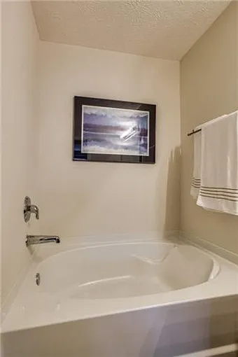 Master Bathroom jacuzzi tub