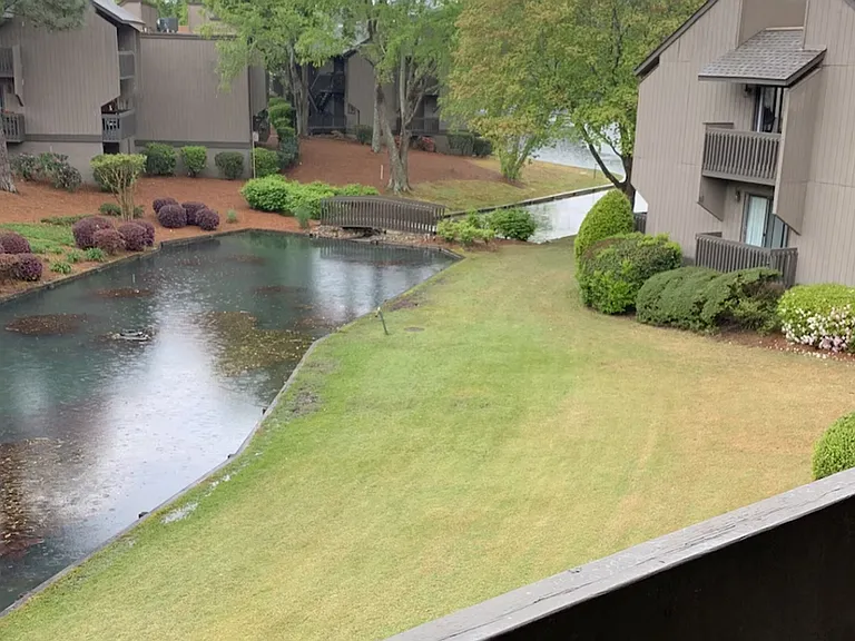 250 Sugar Gum Ln #229 — Photo 12