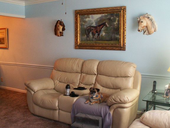 Living Room and Odie