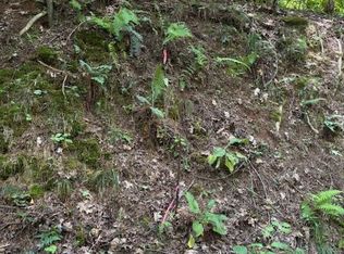 0 Mountain View Ct, Ellijay, GA 30536