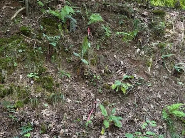 0 Mountain View Ct, Ellijay, GA 30536