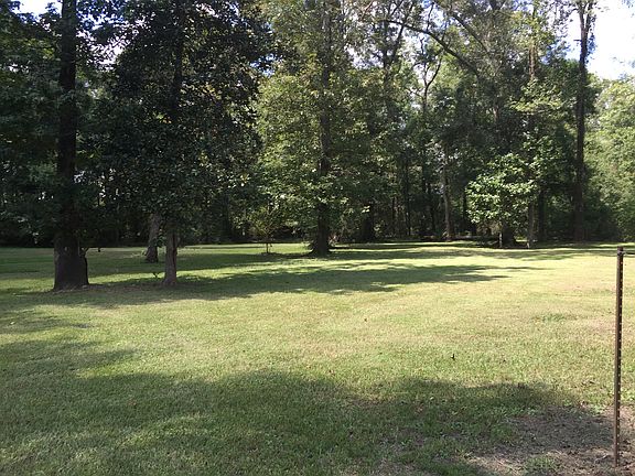 Look at all this yard!