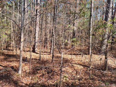 54 N Daniel Ct, Macon, NC, 27551