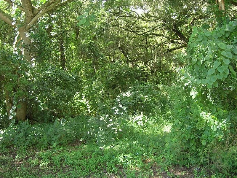 2nd image of 183 Pinewood Ln