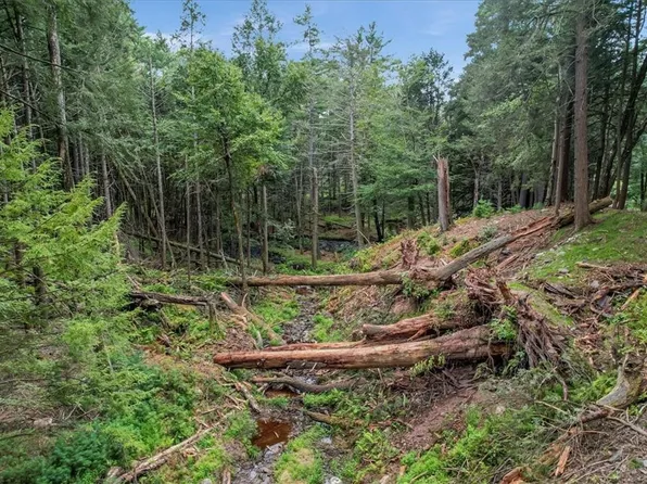 Tannery Road, Forestburgh, NY 12777