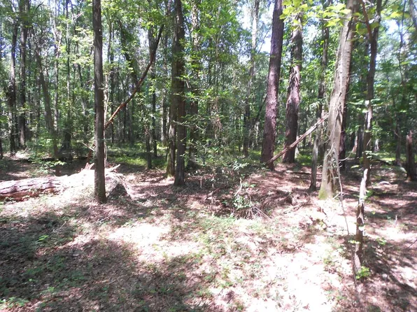 516 Patricia Dr, Montezuma, GA 31063