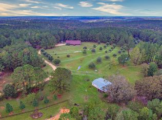 36705 Hall Rd, Red Level, AL 36474