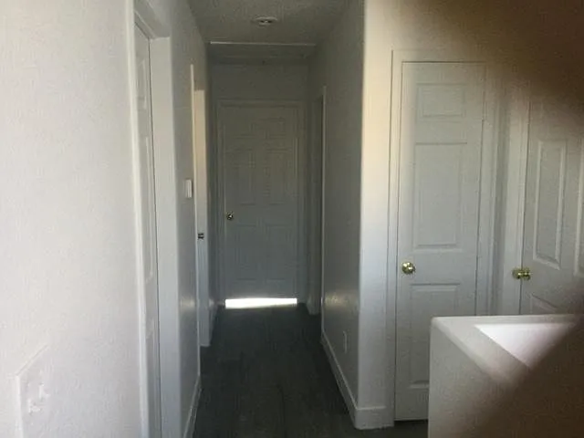 10280 Purple Primrose Dr — Photo 15