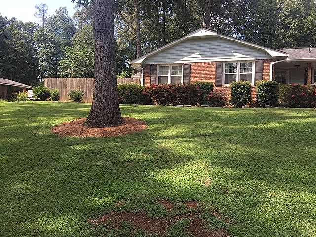 Fenced in yard mature trees