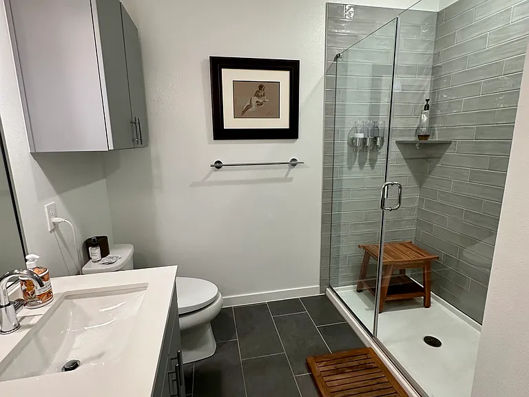 Master bathroom walk-in shower