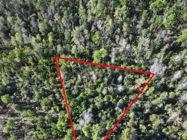 0 Pisgah Ct, Alford, FL 32420
