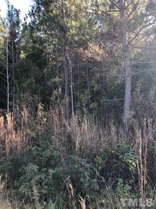 977 Lucian Hilliard Rd, Goldston, NC, 27252