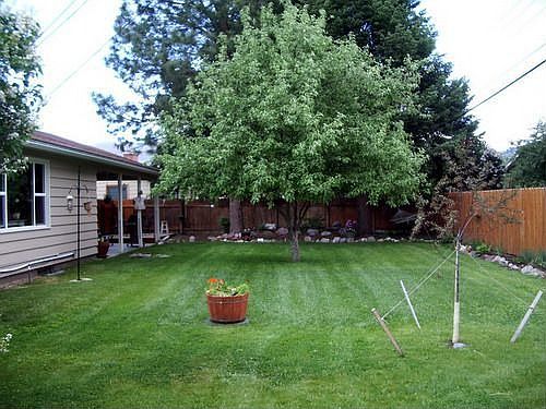 View 1-- backyard