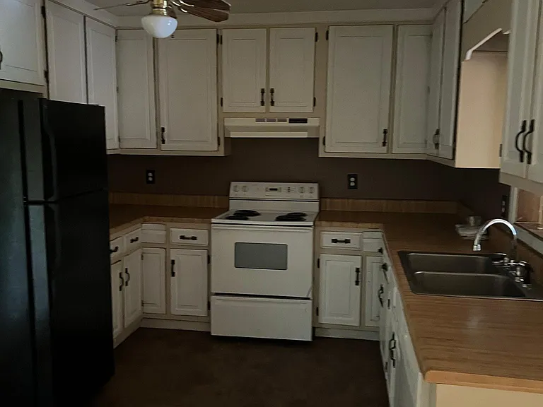 401 Pinelea Rd — Photo 194