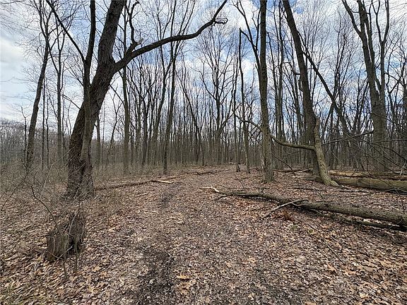 3rd image of 0 Orangeville Rd
