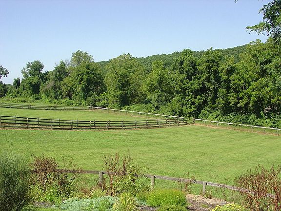pasture