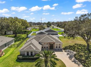 13800 Wellington Ln, Grand Island, FL 32735