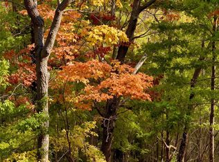 13 Spring Valley Way, Weaverville, NC 28787