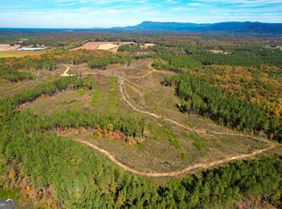 173 / Acres #ON, Ranger, GA 30734