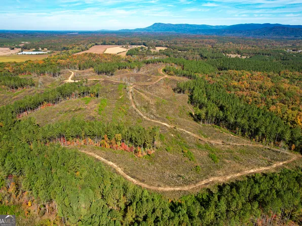 173 / Acres #On, Ranger, GA 30734