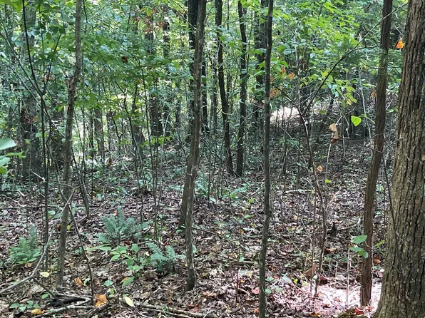 81A-82A Licklog Rdg, Hayesville, NC 28904