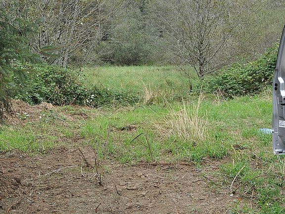 Sandy soil 