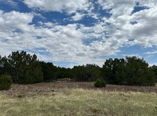 County Road N3109 #&-n3102, Vernon, AZ 85940