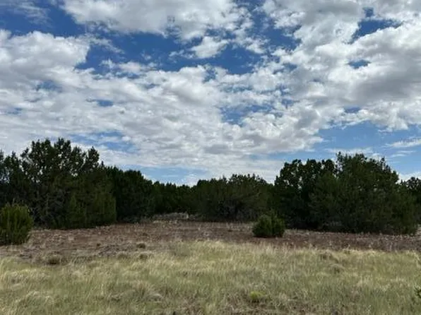 County Road N3109 #&-n3102, Vernon, AZ 85940