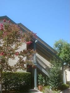 1st image of 968 Summerplace Dr