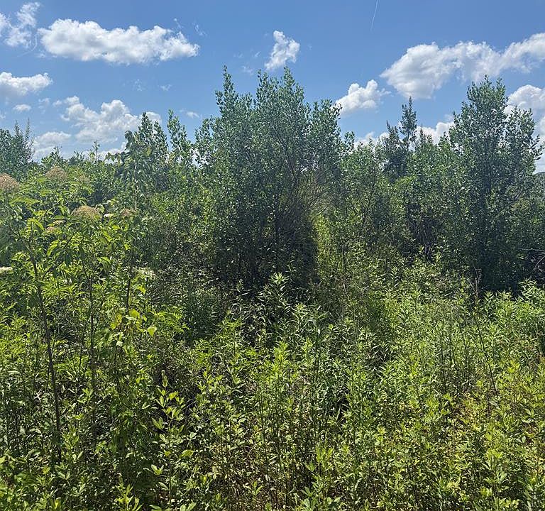 1st image of 0 Pineview Rd