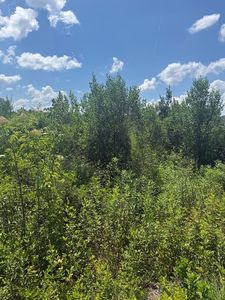 0 Pineview Rd, Alma, GA, 31510