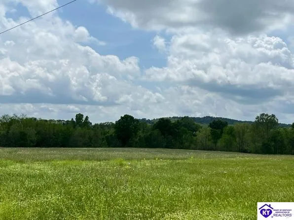 161 Alex Dr, Falls Of Rough, KY 40119
