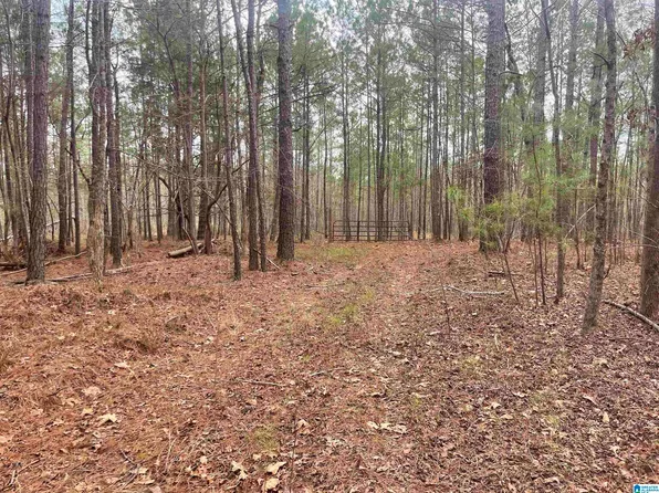 2505 County Road 632, Roanoke, AL 36274