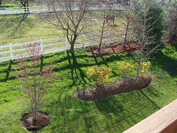 View from Deck