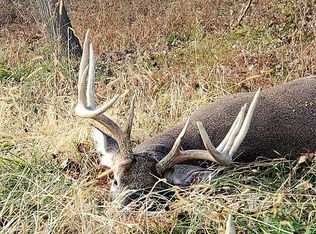 N5690 Fairview Rd, Kennan, WI 54537