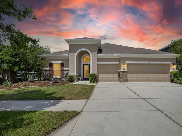 11321 Scribner Station Ln, Lithia, FL 33547