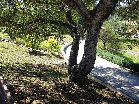 2nd image of 29681 Miller Rd