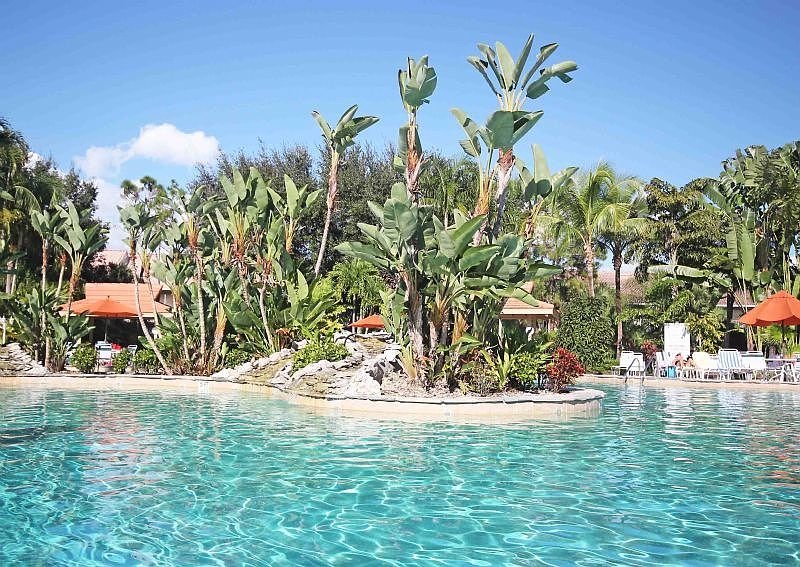 Resort Pool