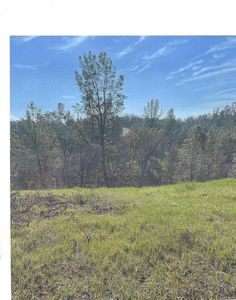 16320 Hill Crest Rd, Corning, CA, 96021
