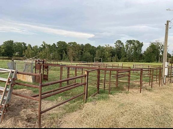 5th image of Rupe Huffman