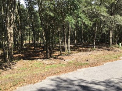 12943 94th Trl, Live Oak, FL, 32060